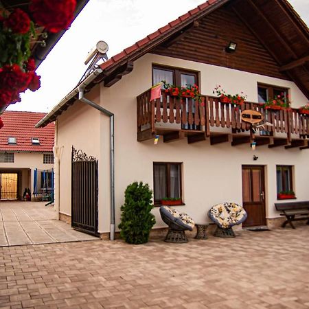 Hotel Casa Iancu à Jina Extérieur photo