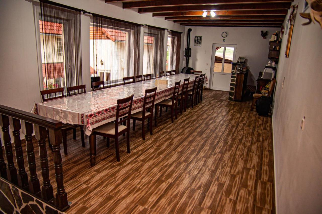 Hotel Casa Iancu à Jina Extérieur photo