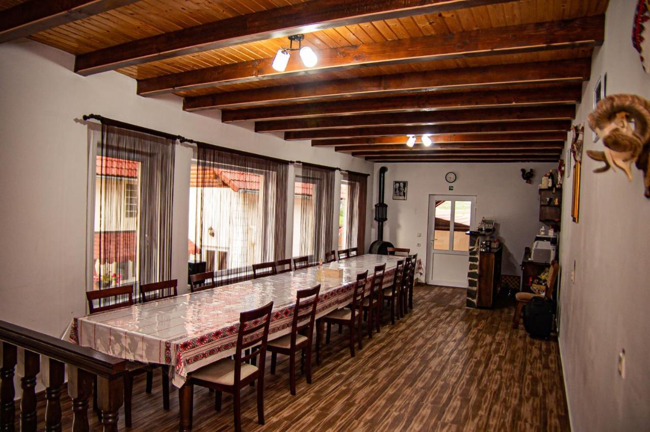 Hotel Casa Iancu à Jina Extérieur photo