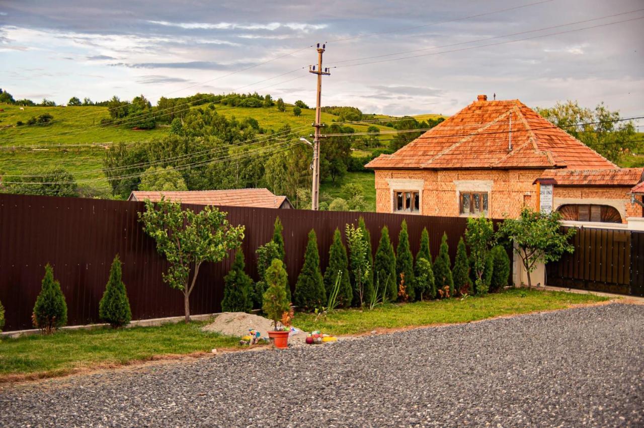 Hotel Casa Iancu à Jina Extérieur photo