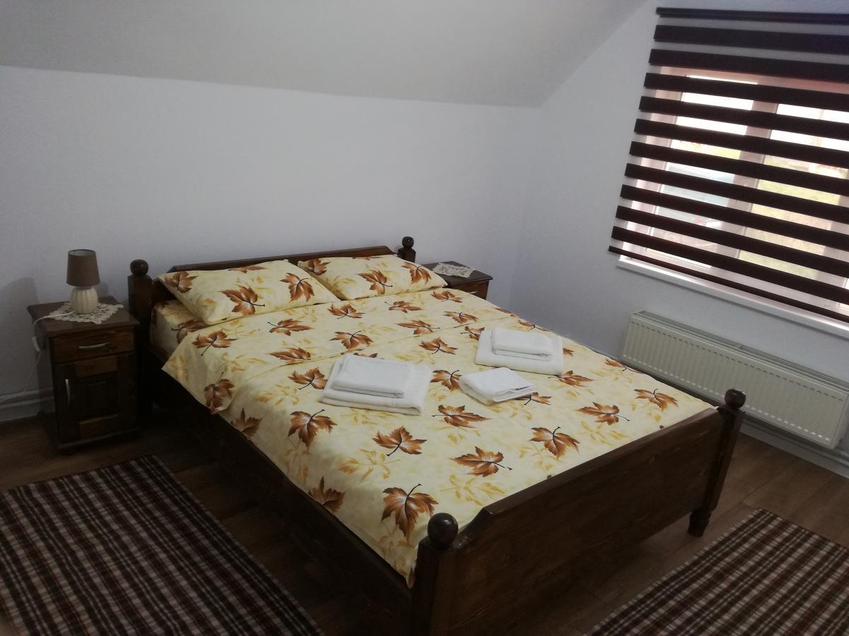 Hotel Casa Iancu à Jina Extérieur photo