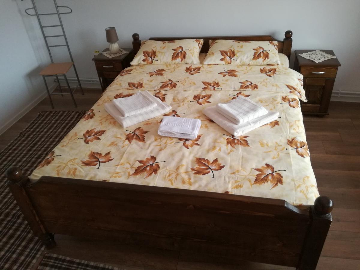 Hotel Casa Iancu à Jina Extérieur photo